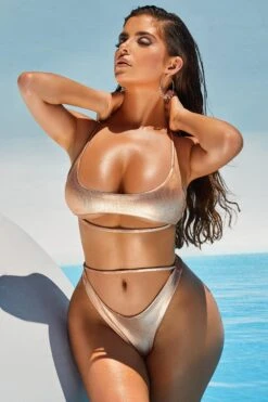 Ribbed Metallic Thong Bikini Bottoms In Rose Gold 16 Ribbed Metallic Thong Bikini Bottoms In Rose Gold -Sway Line Zone 2305 7 cut in line rose gold metallic underboob thong bikini 1