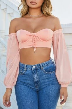 Dazed By You Off The Shoulder Underwired Crop Top In Peach 17 Dazed By You Off The Shoulder Underwired Crop Top In Peach -Sway Line Zone 2518 7 dazed by you peach off shoulder bardot mesh sleeve underwire crop top corset
