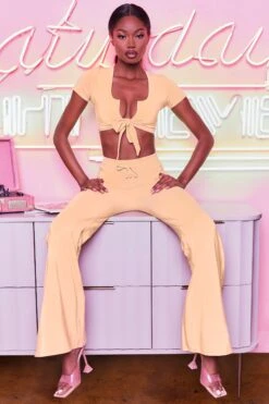 Laid Back Wide Leg Trousers In Peach -Sway Line Zone 3401 take the plunge 3097 laid back 5 peach high waisted flare trousers plunge front tie capped sleeve crop top 16 5