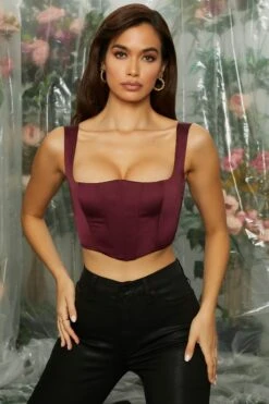 Curved Bust Bustier Crop Top In Wine -Sway Line Zone 4714 3 beloved wine pointed bust bustier corset top 1