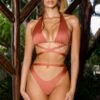 Criss Cross Triangle Bikini Top In Rust