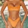 V Waist Bikini Bottoms In Orange