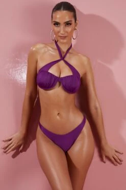 Give Me Fever V Shaped Bikini Bottoms In Purple -Sway Line Zone ns0042 9 purple twist front halter ruched bikini set 1